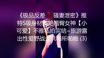 《极品反差㊙️骚妻泄密》推特S级身材美艳翘臀女神【小可爱】不雅私拍完结~旅游露出性爱野战公共场所啪啪 (3)