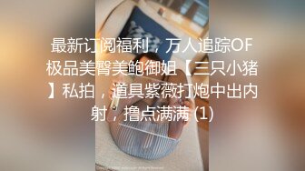 甜美女神臣服于垮下，完美视觉体验