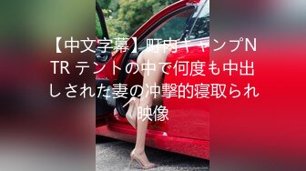 【中文字幕】町内キャンプNTR テントの中で何度も中出しされた妻の冲撃的寝取られ映像