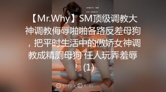 【Mr.Why】SM顶级调教大神调教侮辱啪啪各路反差母狗，把平时生活中的傲娇女神调教成精厕母狗 任人玩弄羞辱！ (1)