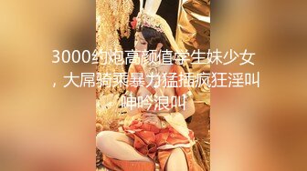 【新片速遞 】 骚宝大神又出神作2-16白皙翘臀美少女才20岁出头，骚聊妹子下面居然很湿，主动抓住大神鸡巴，年轻穴就是粉，干一会就肿