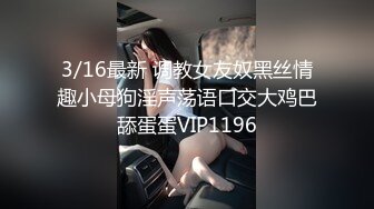 网调小母狗，网袜很不错！