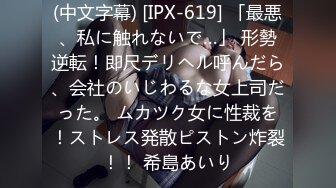 (中文字幕) [IPX-619] 「最悪、私に触れないで…」 形勢逆転！即尺デリヘル呼んだら、会社のいじわるな女上司だった。 ムカツク女に性裁を！ストレス発散ピストン炸裂！！ 希島あいり