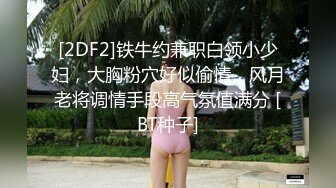 [2DF2]铁牛约兼职白领小少妇，大胸粉穴好似偷情，风月老将调情手段高气氛值满分 [BT种子]