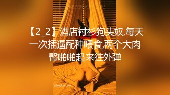 我的小炮友1