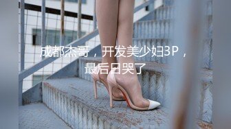 国产麻豆AV 麻豆番外 性爱番外篇 突袭女优计划 EP2 肉棒突击队强制要求与主持人发生性爱 艾秋