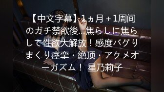 【中文字幕】1ヵ月＋1周间のガチ禁欲後…焦らしに焦らして性欲大解放！感度バグりまくり痉挛・絶顶・アクメオーガズム！ 星乃莉子