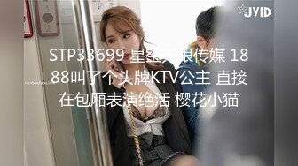 STP33699 星空无限传媒 1888叫了个头牌KTV公主 直接在包厢表演绝活 樱花小猫