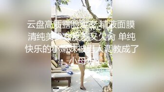 喜欢打桩的女骑士