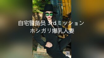 自宅警备员 3rdミッション ホシガリ爆乳人妻