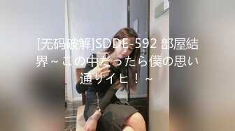 HEYZO 1230 SEXお見合い～ハメハメから始めましょう！～ – 千葉かれん