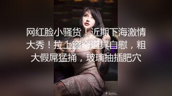 美女网红穿着丝袜直播炮机自慰