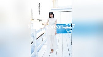 韩国bj korean 527