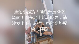 自录无水印 【兔子】P2高颜值巨乳热舞抖奶插道具12月25-29【20V】 (4)