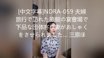 [中文字幕]NDRA-059 夫婦旅行で訪れた旅館の宴會場で下品な団体客に妻がおしゃくをさせられました… 三原ほのか