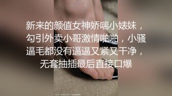 淫荡性奴母狗【辉夜姬】群P颜射口交调教 集锦