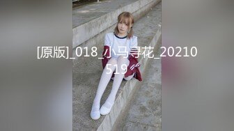 [原版]_018_小马寻花_20210519