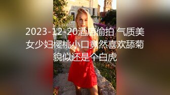 -大肚子孕妇为赚零花钱自慰掰穴 黄瓜手指抠B 撅起屁股特写阴户 (6)