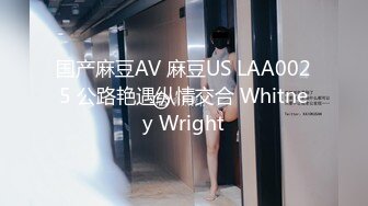 国产麻豆AV 麻豆US LAA0025 公路艳遇纵情交合 Whitney Wright