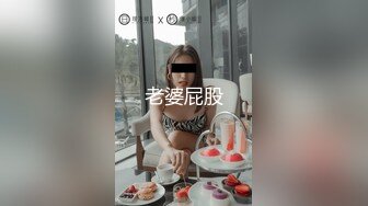 黑丝网袜配上骚穴简直就是完美