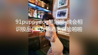 小宝寻花约了两个美乳花臂嫩妹双飞