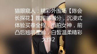 猫眼窥人，精彩外围场【陈会长探花】氛围感满分，沉浸式体验买春全程，街拍女神，前凸后翘明星脸，白皙温柔精彩大作2