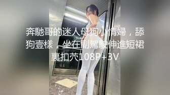 奔馳哥的迷人母狗小情婦，舔狗壹樣，坐在副駕駛伸進短裙裏扣茓108P+3V