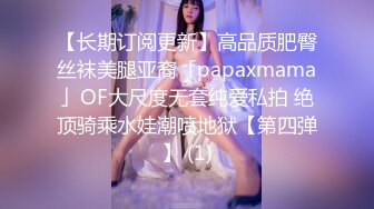 国产眼镜骚女 反差小饼干 车震 3p 足交吞精【35v】 (18)