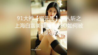 91大神【猫先生】千人斩之上海白富美强势女CEO如何被大屌征服