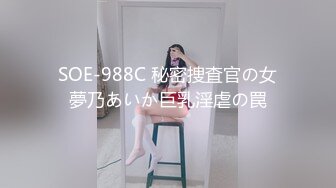 SOE-988C 秘密捜査官の女夢乃あいか巨乳淫虐の罠