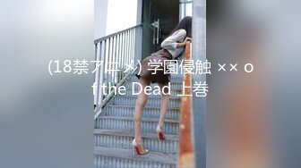 (18禁アニメ) 学園侵触 ×× of the Dead 上巻