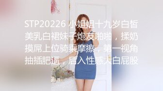 STP20226 小姐姐十九岁白皙美乳白裙妹子炮友啪啪，揉奶摸屌上位骑乘摩擦，第一视角抽插肥逼，后入性感大白屁股