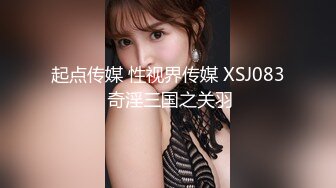 起点传媒 性视界传媒 XSJ083 奇淫三国之关羽