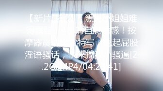 MMZ-032女神的性辅导-寻小小