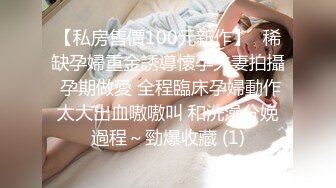 《最新泄密✿反差尤物》推特极品网红巨乳女神【九儿温柔妹妹】定制私拍！摩天轮露出内裤塞进肥美鲍鱼里揉奶调教惊险又刺激