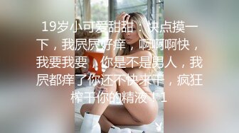 广东内裤哥操极品美女之黑丝高跟性感尤物3