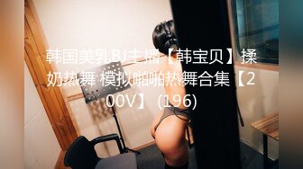 韩国美乳BJ主播【韩宝贝】揉奶热舞 模拟啪啪热舞合集【200V】 (196)