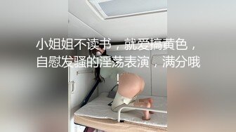 行业内知名顶级摄影大咖，暗黑色鼻祖【卢克】视图全集，全是极品小姐姐，车模外围平模，不只拍还能肏 (3)