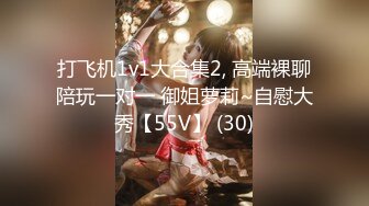 打飞机1v1大合集2, 高端裸聊陪玩一对一 御姐萝莉~自慰大秀【55V】 (30)