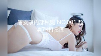 唐安琪内部私购 NO.001 超清7K打赏图