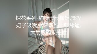 探花系列-约操漂亮御姐,揉捏奶子吸吮,张开双腿一顿舔逼,大屁股骑乘抽插