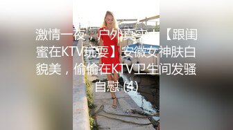 激情一夜，户外真实！【跟闺蜜在KTV玩耍】安徽女神肤白貌美，偷偷在KTV卫生间发骚自慰 (4)