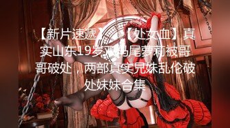 蜜桃传媒 pmc-341 变态修理工强奸女主人-米欧