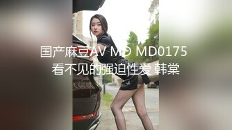 国产麻豆AV MD MD0175 看不见的强迫性爱 韩棠