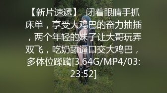 【MP4/HD】麻豆傳媒 MTVQ19 野外露初 EP5 縱情泄欲的野營激戰 莫夕慈 蘇念瑾 房天樂