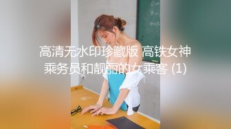 高清无水印珍藏版 高铁女神乘务员和靓丽的女乘客 (1)