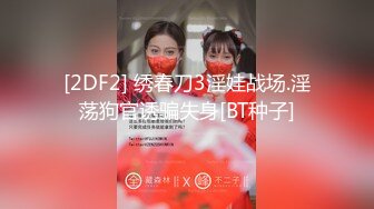 [2DF2] 绣春刀3淫娃战场.淫荡狗官诱骗失身[BT种子]