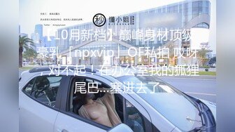 【10月新档】巅峰身材顶级豪乳「npxvip」OF私拍 哎呀，对不起！在办公室我的狐狸尾巴…塞进去了