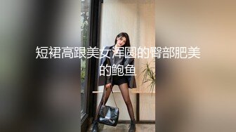 短裙高跟美女浑圆的臀部肥美的鲍鱼