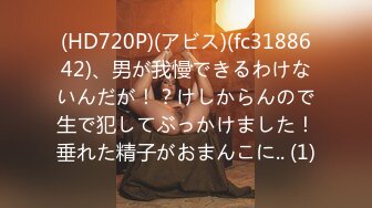 (HD720P)(アビス)(fc3188642)、男が我慢できるわけないんだが！？けしからんので生で犯してぶっかけました！垂れた精子がおまんこに.. (1)